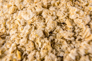 Oat detail with macro photography, food photography
