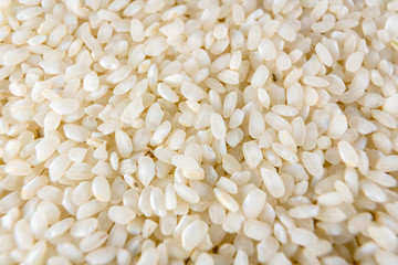 Rice grains photographed with macro photography