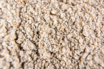 Oats photographed with macro photography