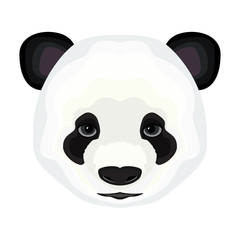 Portrait of a giant panda