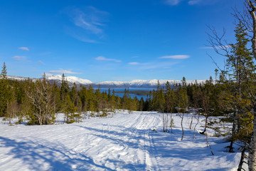 Fototapeta na wymiar Ski trip to Gronndalsfjellet in Brønnøy municipality, Nordland county