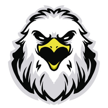 eagle head vector logo mascot design