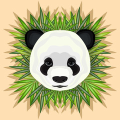 Portrait of a giant panda on a bamboo background.