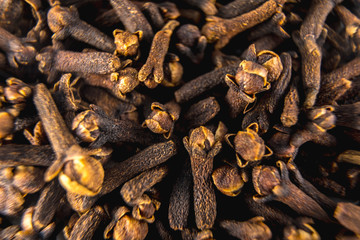Thyme pieces texture detail, macro photography