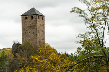 Fototapeta na wymiar Ruine der Burg Treis in Treis-Karden an der Mosel