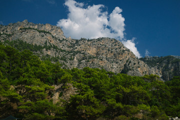 Fototapeta na wymiar mountains and forest