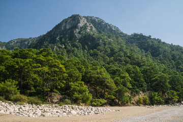 mountains, forest and beach