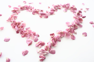 heart rose petals / pink roses, heart-shaped frame petals, love concept