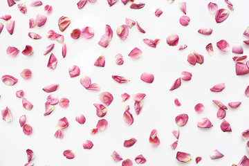 pink and red petals background / abstract aroma background, spa pink petals