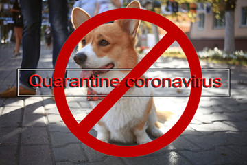 quarantine coronavirus background, abstract blurred theme coronavirus pandemic epidemic