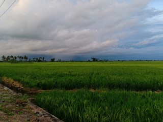 landscape with road and clouds