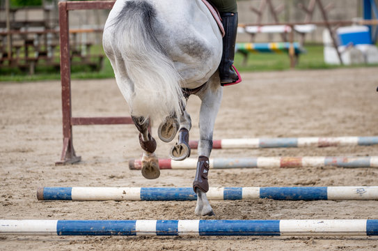 Horse rider crosses cavaletti with horse