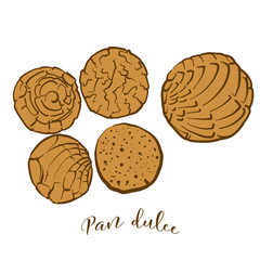 Colored drawing of Pan dulce bread