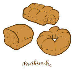 Colored drawing of Panbrioche bread
