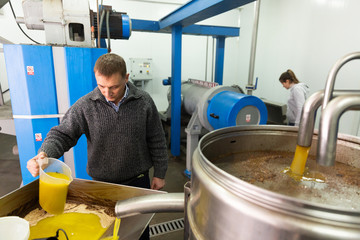 Worker controlling quality of olive oil