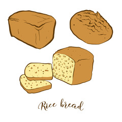 Colored drawing of Rice bread bread