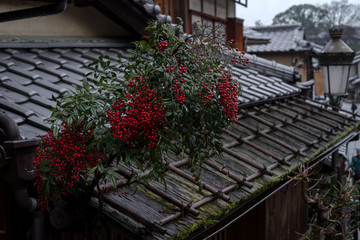 Fototapeta na wymiar 京都、雨上がりの二寧坂の朝・濡れる屋根と赤い南天の実