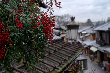 京都、雨上がりの二寧坂の朝・濡れる屋根と赤い南天の実