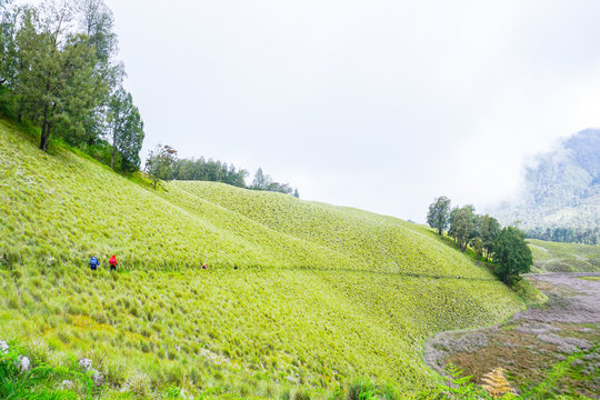 teletubbies hill indonesia