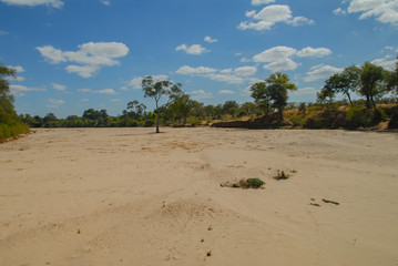 Fototapeta na wymiar Ausgetrocknetes Flussbett in der Savanne vom Etosha-Nationalpark in Namibia Südafrika 