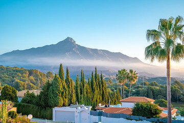 beautiful view of the Spanish mountain La Concha. Palm tree on front plane