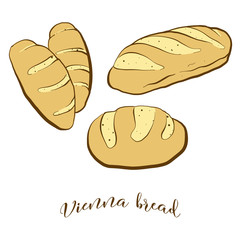 Colored drawing of Vienna bread bread