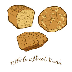 Colored drawing of Whole wheat bread bread