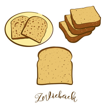 Colored drawing of Zwieback bread