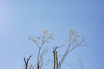 川辺の風景