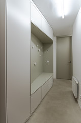 Modern interior hall with wardrobe