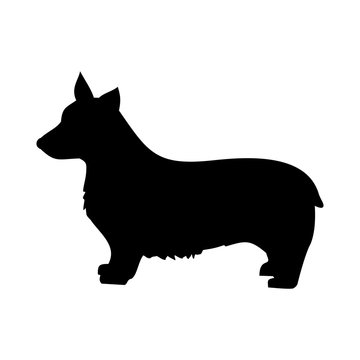 Kogi dog is black and white vector