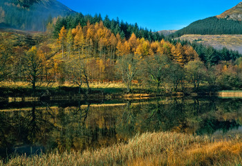 Peaceful Autumn scene of the Scottish landscape in the Trossachs near Loch Lomond