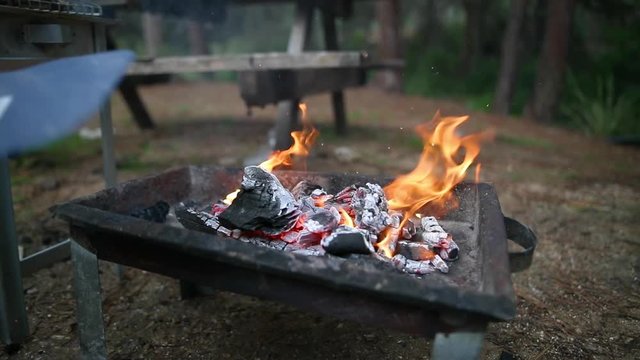 Preparation of barbecue fire in the forets