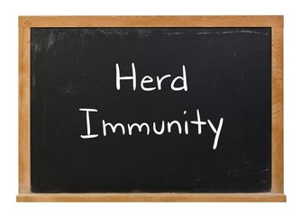 Obraz premium Herd immunity written in white chalk on a black chalkboard isolated on white