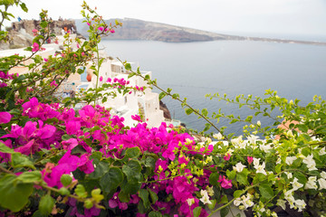 Greece. Thira Island(Santorini).