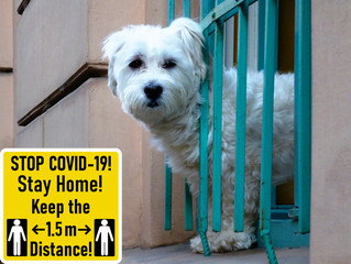 Stay Home concept. yellow and black plate sign. Note to avoid Coronavirus by staying home and working from home. Isolation. Social distancing. also called COVID-19. illustration style raster image