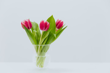 Bouquet of pink tulips in a transparent, glass vase on a white background. 
