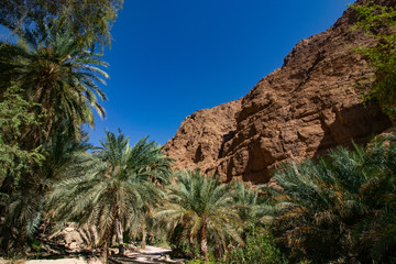 Hike through narrow valley of Wadi Shab in Tiwi near Mascat in Oman