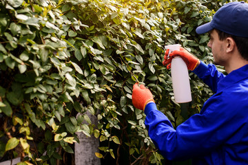 Young man gardener in blue overall and protective gloves a working in the garden