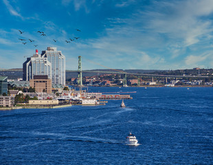 View of Halifax Nova Scotia from the Harbor - obrazy, fototapety, plakaty