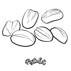 Pistolet food sketch separated on white