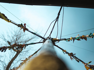 Ritual pole 