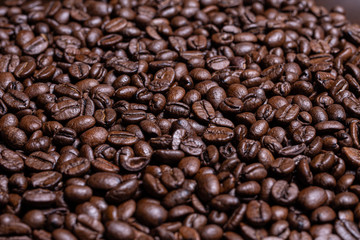 Coffee beans #3