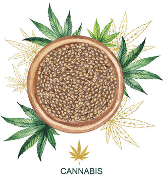 Watercolor illustration. Wooden bowl with hemp seeds on a background of hemp leaves. Medical marijuana.