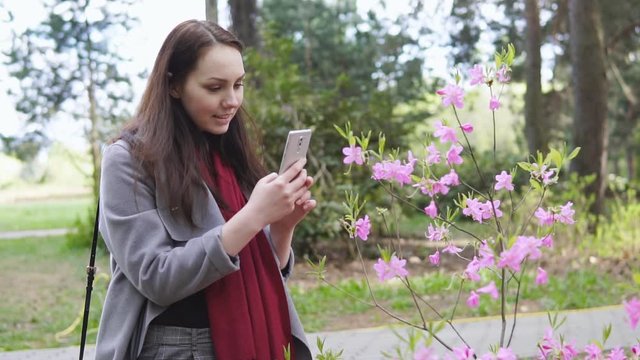 Young girl taking pictures of pink blooming flowers in spring. Happy woman using smartphone to take photos of beautiful plant