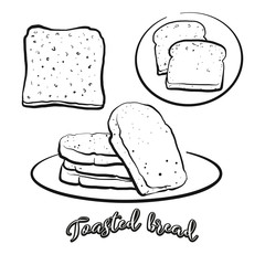 Toasted bread food sketch separated on white