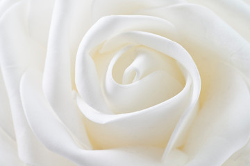 white flower shaped wavy shapes
