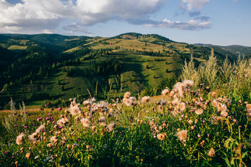 Fototapeta na wymiar Beautiful landscape from Transylvania, Romania
