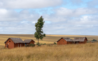 Fototapeta na wymiar Ankily, Madagascar - 06 juni 2019