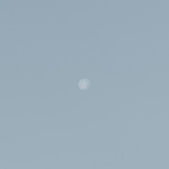 moon minimal